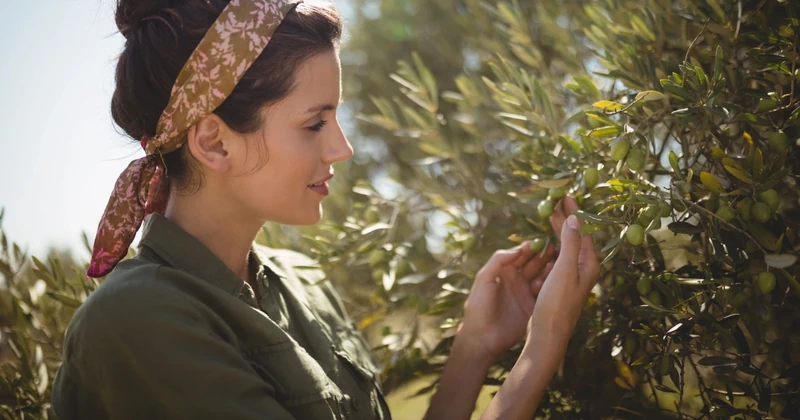 Olives and Olive Oil in Greece