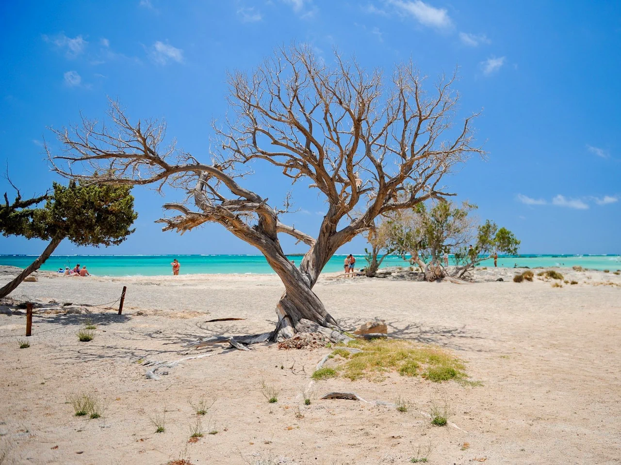 Elafonisi Beach from Chania Area