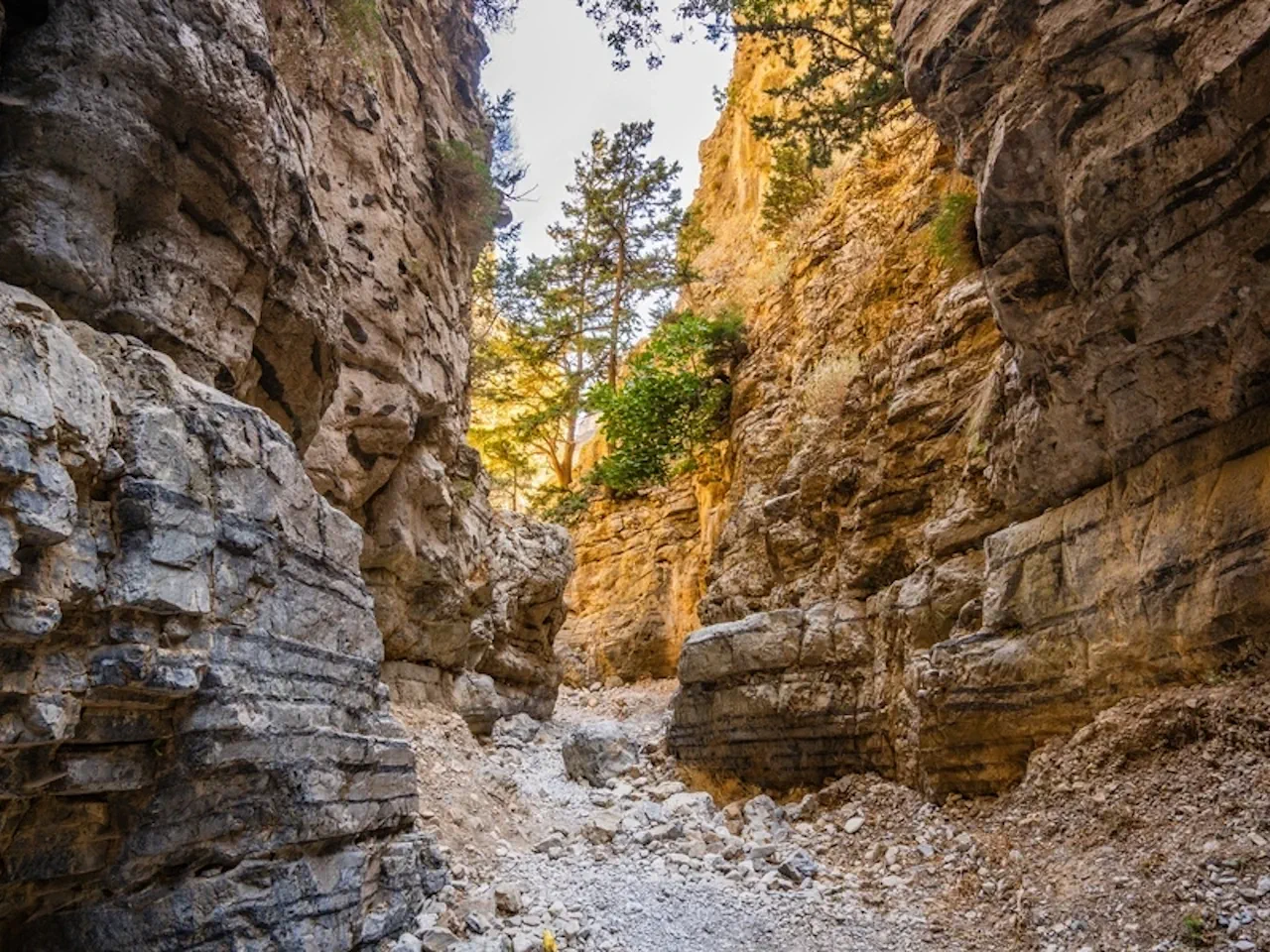 Imbros Gorge Full-Day Tour from Chania Area