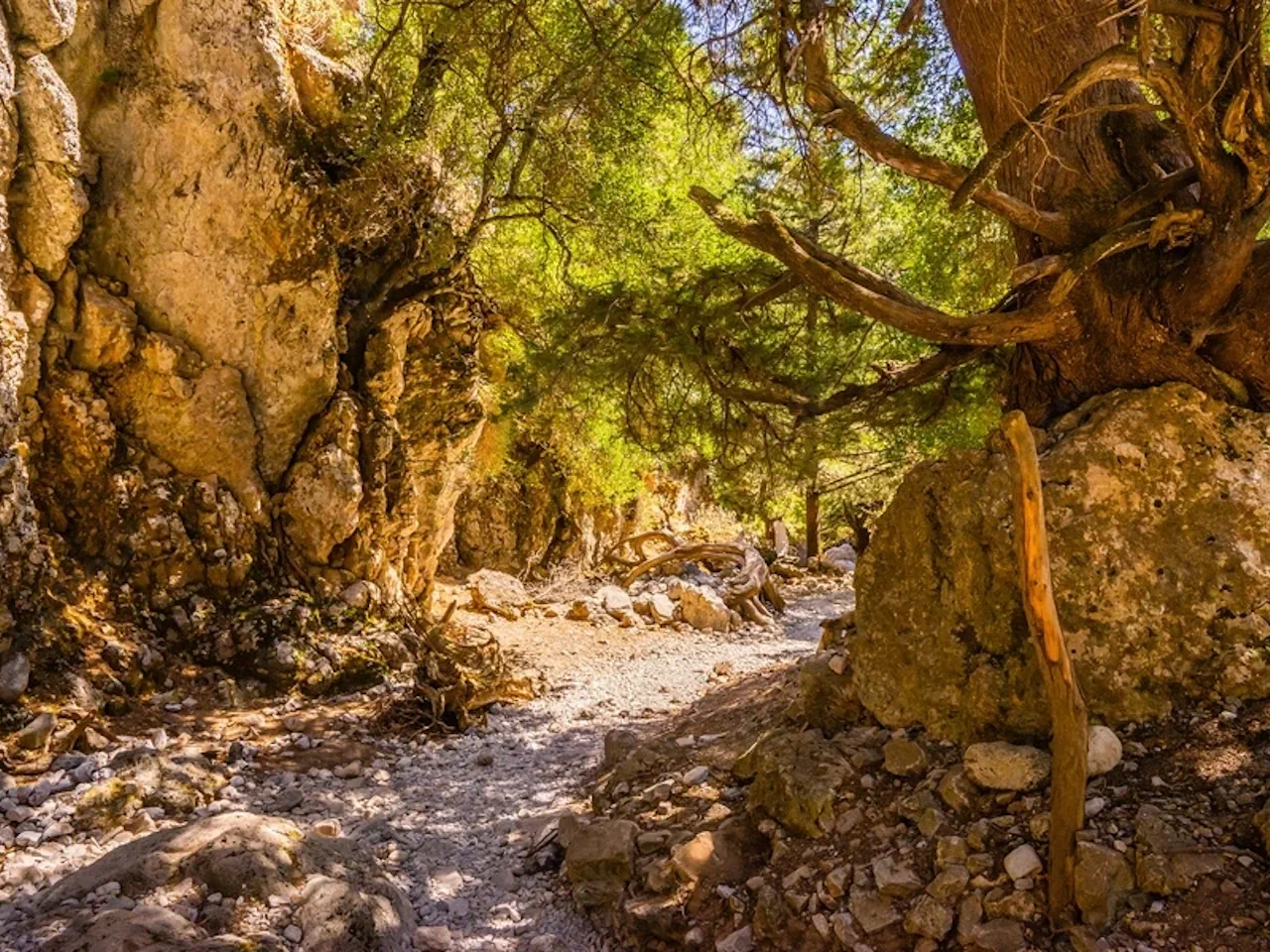 Imbros Gorge Full-Day Tour from Chania Area