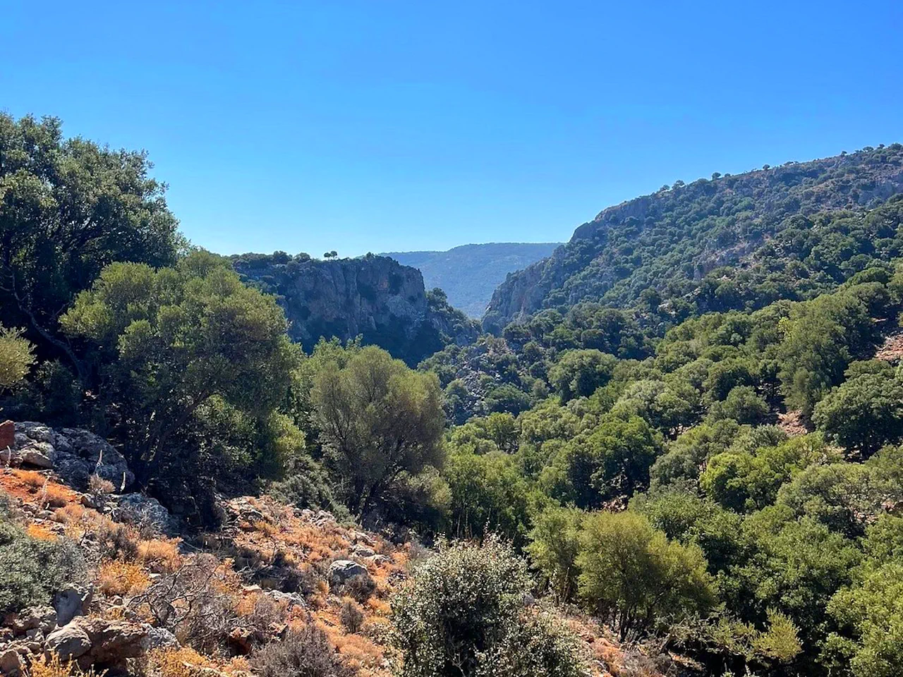 Crete: Kritsa Gorge Hike with Picnic & Swim Stop