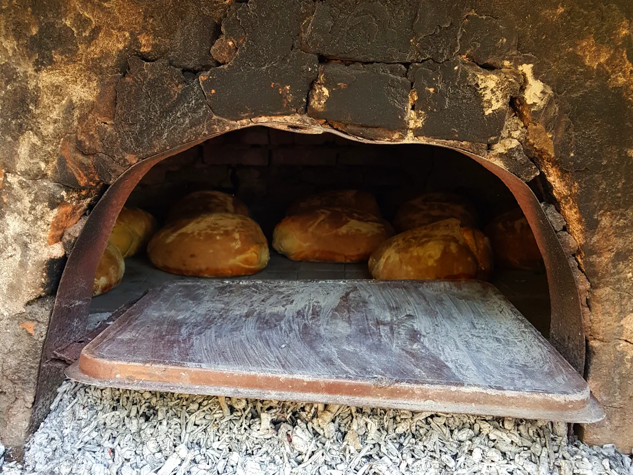 Tasting Tour from Chania Area: Bakery, Olive Oil, Honey, & Cheese